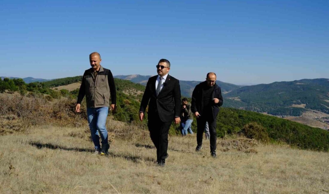Yozgat’ın Akdağmadeni ilçesinde Belediye tarafından Ak Çam Konaklamalı Orman Parkı