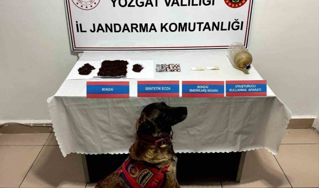 Yozgat'ta Y.A. isimli şüphelinin evinde yapılan aramada bonzai ve uyuşturucu