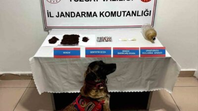 Yozgat'ta Y.A. isimli şüphelinin evinde yapılan aramada bonzai ve uyuşturucu