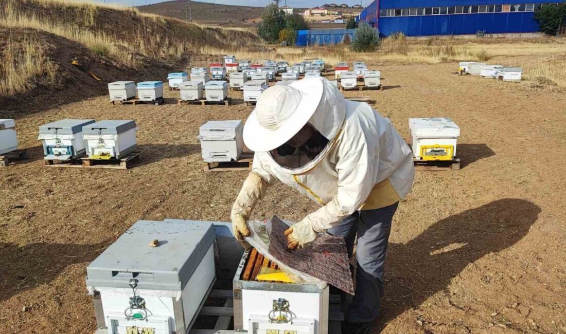 Yozgat'ın Çayıralan ilçesinde arıcılık yapan Ali Rafet Aytekin, dağlık bölgelerde