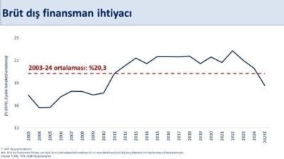 Hazine ve Maliye Bakanı Mehmet Şimşek, Ağustos'ta tarihin en yüksek