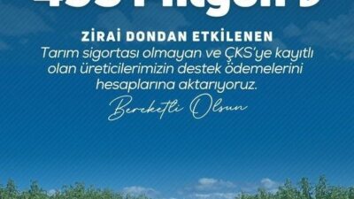 Tarım ve Orman Bakanı İbrahim Yumaklı, “Üreticilerimize toplamda 20 milyar