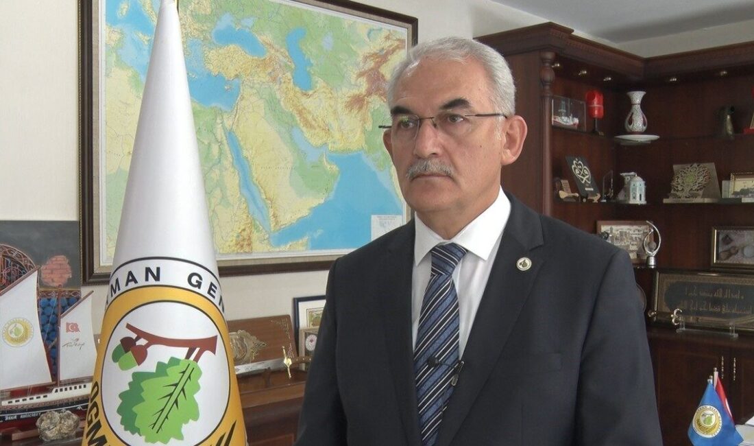 Türkiye'de bu yıl 6 bin 800 orman yangını meydana geldi.