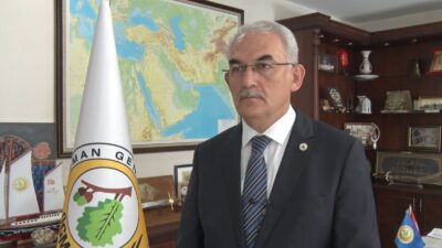 Türkiye'de bu yıl 6 bin 800 orman yangını meydana geldi.