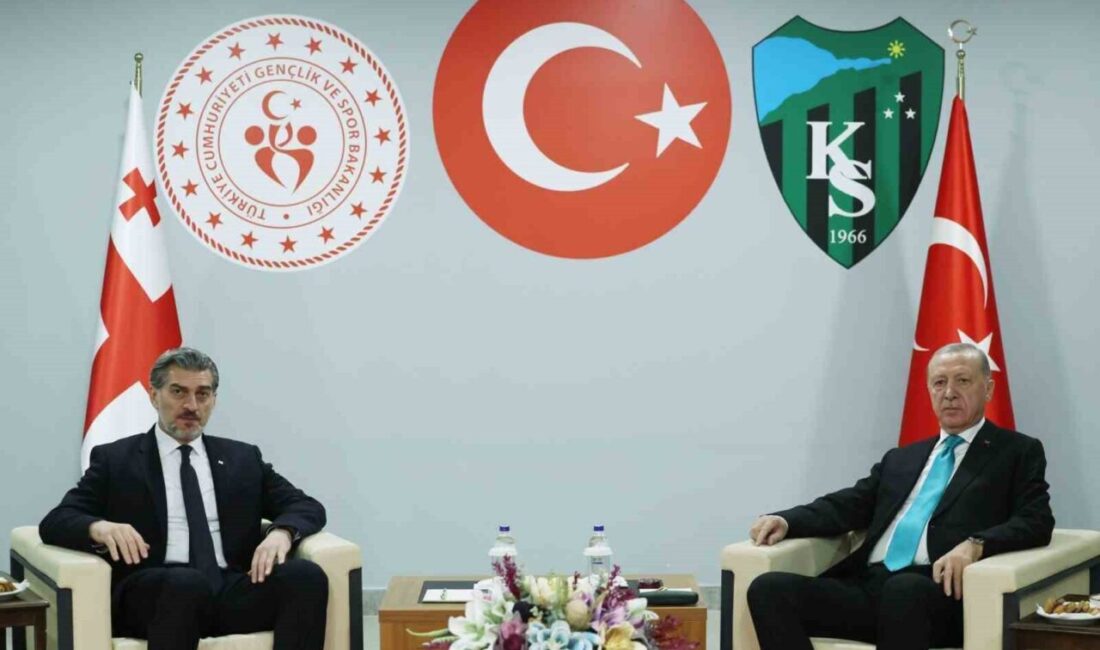 Cumhurbaşkanı Recep Tayyip Erdoğan, Türkiye-Gürcistan maçının ardından Gürcistan Cumhurbaşkanı Mikheil