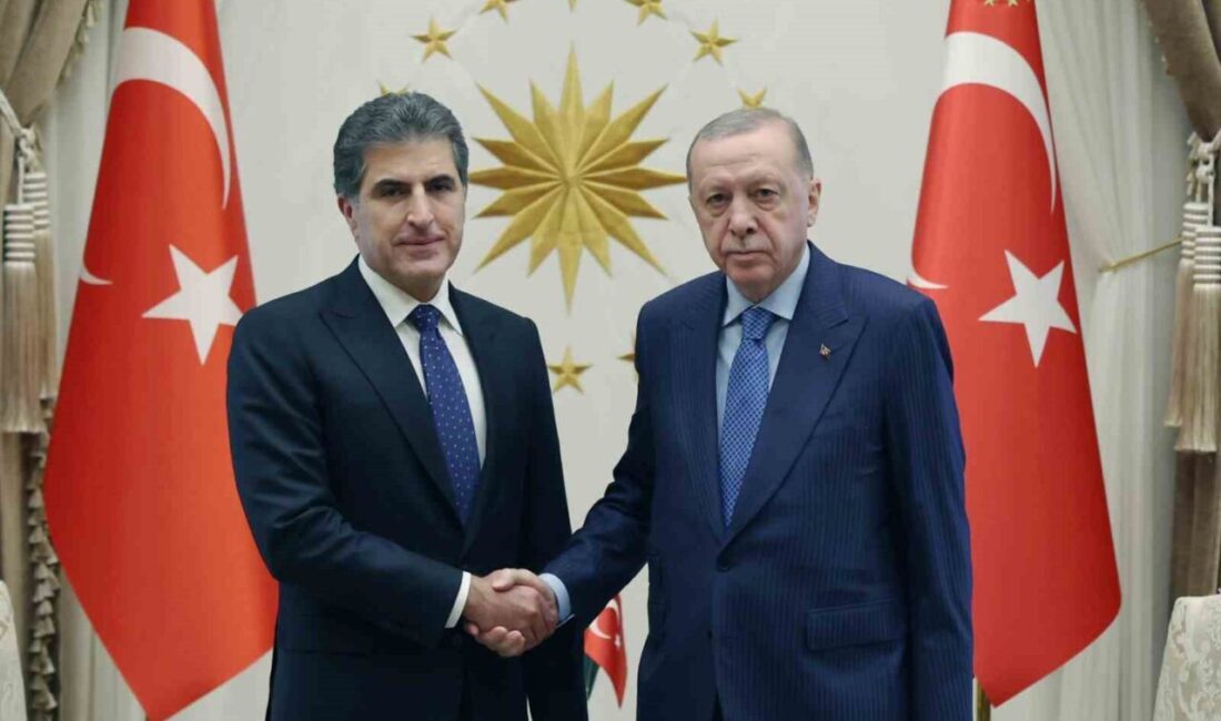 Cumhurbaşkanı Erdoğan, Irak Kürt Bölgesel Yönetimi lideri Barzani ile görüştü.