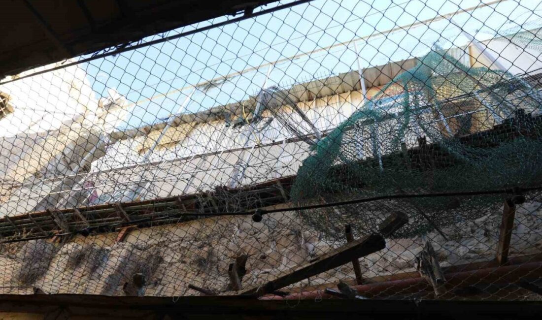 El Halil kentinde Filistinliler, İsrail işgali altındaki bu alanda yaşadıkları