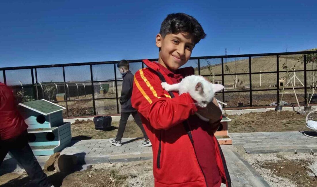 Yozgat Belediyesi, Evcil Köy'de Kedi Oteli'ni hizmete açarak çocuklara hayvan