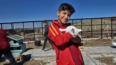 Yozgat Belediyesi, Evcil Köy'de Kedi Oteli'ni hizmete açarak çocuklara hayvan