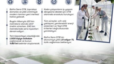 Tarım ve Orman Bakanlığı, Bafra Sera Organize Tarım Bölgesi projesi