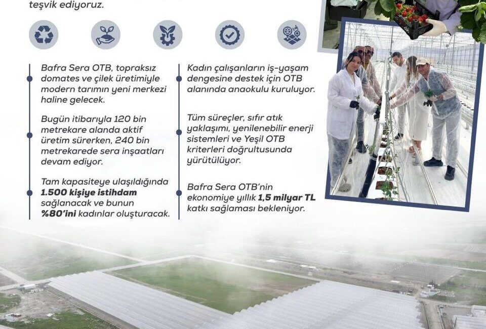 Tarım ve Orman Bakanlığı, Bafra Sera Organize Tarım Bölgesi projesi
