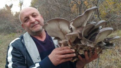 Sonbaharın gelmesiyle etkili olan yağışların ardından doğada yetişen Kanlıca mantarı,