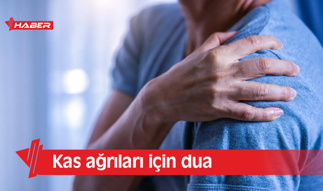 Kas ağrıları, günlük yaşamı zorlaştıran en yaygın rahatsızlıklardan biridir. Yorgunluk,