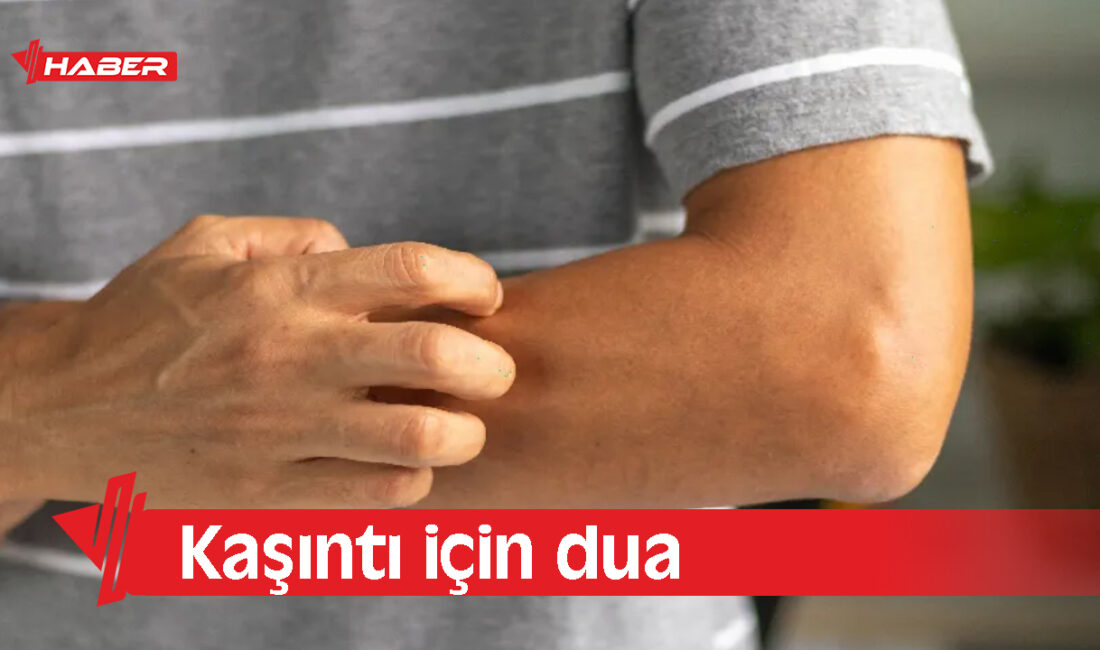 Kaşıntı, hem fiziksel rahatsızlık hem de sabrı zorlayan bir durumdur.
Birçok