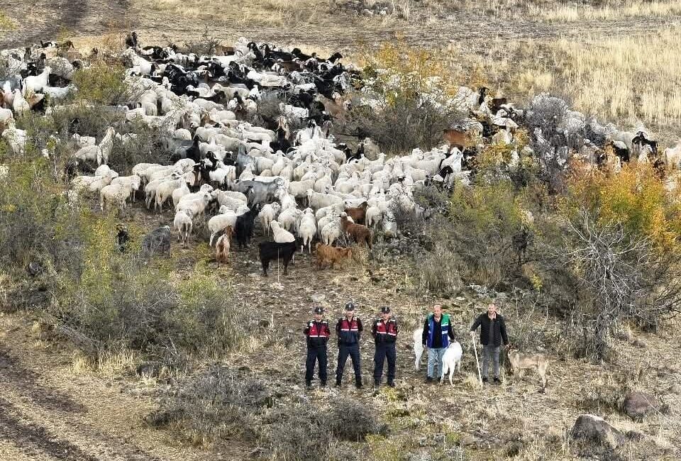 Beypazarı'nda 544 küçükbaş hayvanın kaybolmasıyla başlayan arama çalışması, dron destekli
