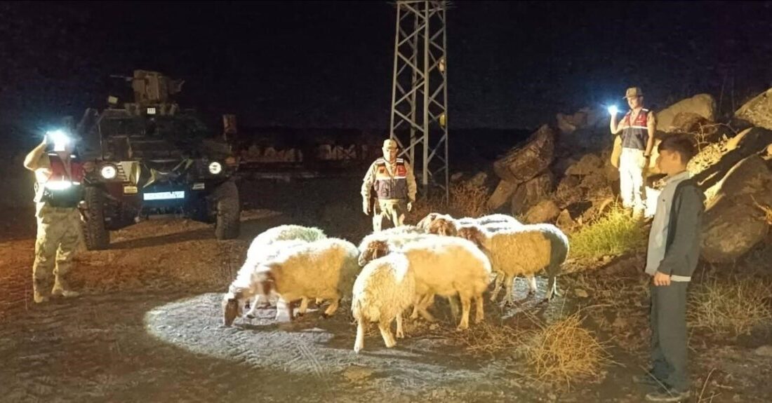 Kilis’in Elbeyli ilçesine bağlı Yenideğirmen köyünde kaybolan 11 koyun, İl