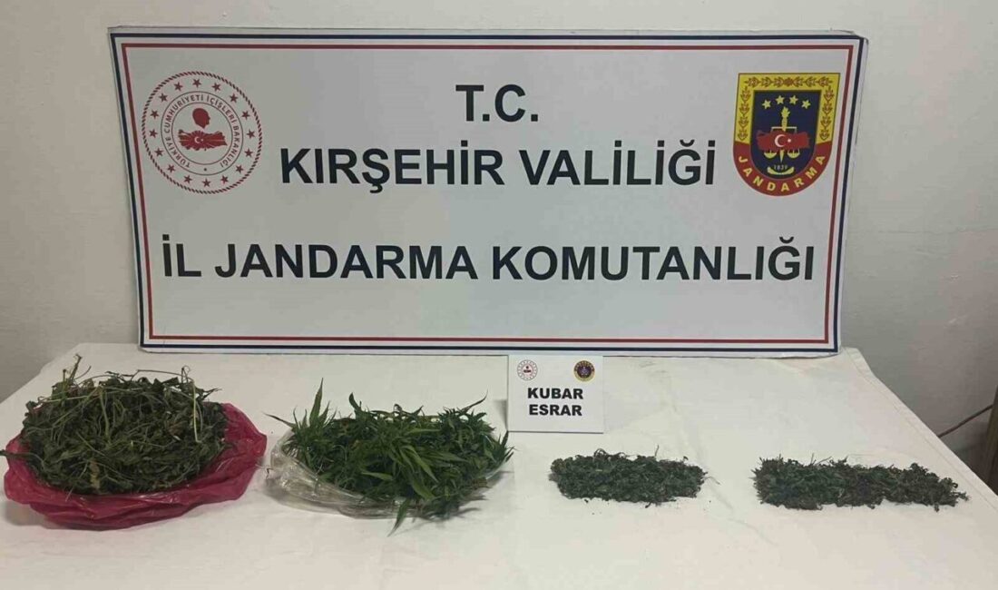 Kırşehir'de jandarma operasyonunda 2 bin 198 sentetik ecza, 445 gram