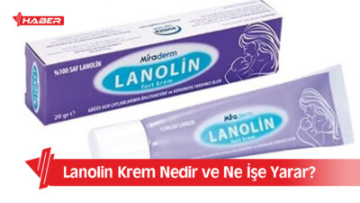 Cilt sağlığı için kullanılan ürünler arasında lanolin krem son yıllarda