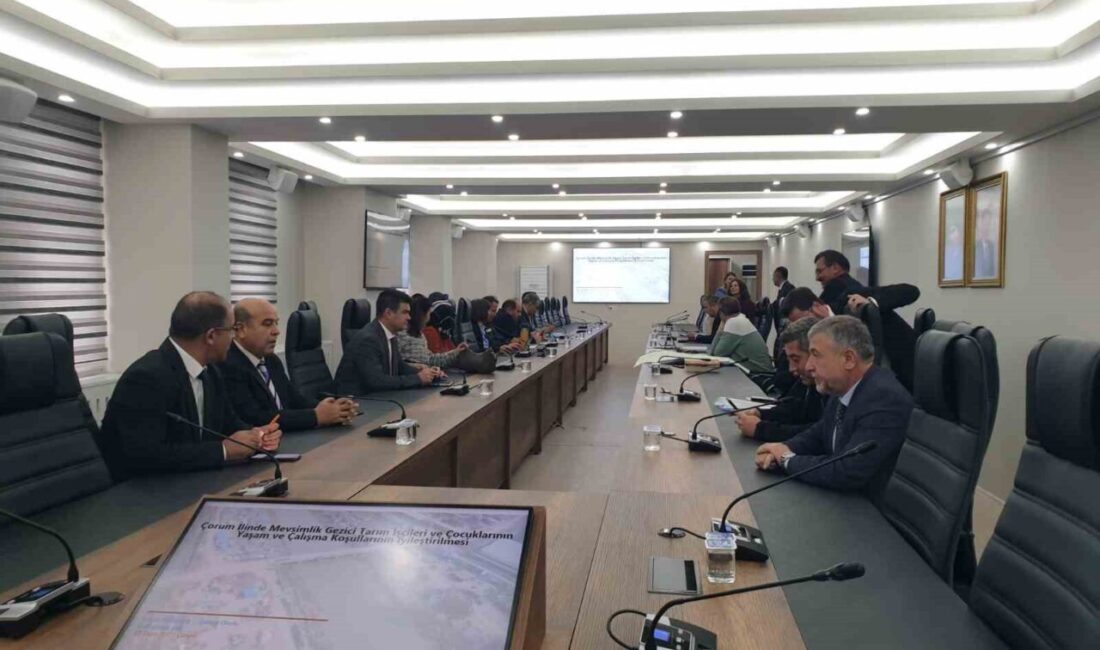 OKA'nın desteklediği proje kapsamında Çorum'da mevsimlik gezici tarım işçileri ve