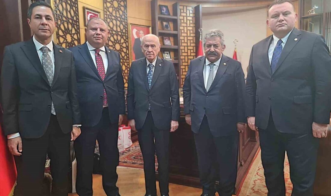Milliyetçi Hareket Partisi’nin (MHP) Milli Dayanışma, Kardeşlik ve Demokrasi Komisyonu