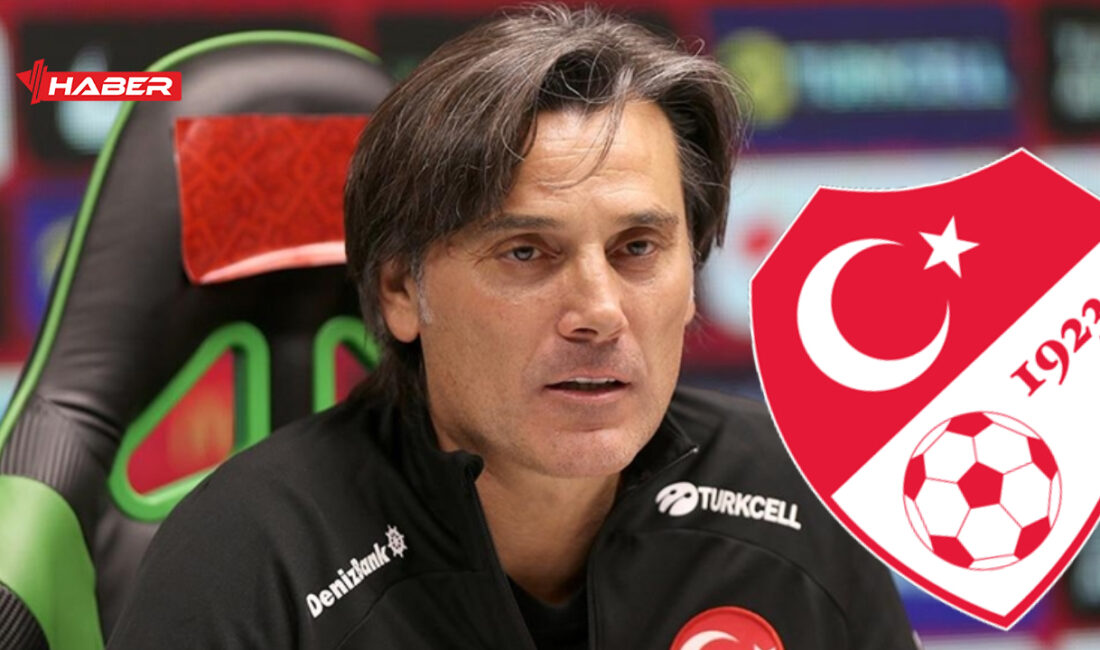 Türkiye Futbol Federasyonu’nun (TFF) aldığı kararla, A Milli Takım Teknik