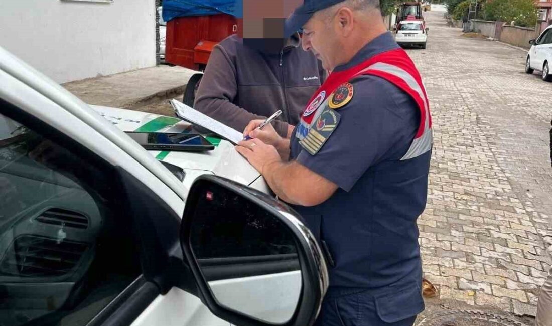 Yasaklı Pitbull cinsi köpek besleyen Şefaatli ilçesindeki bir kişiye 16