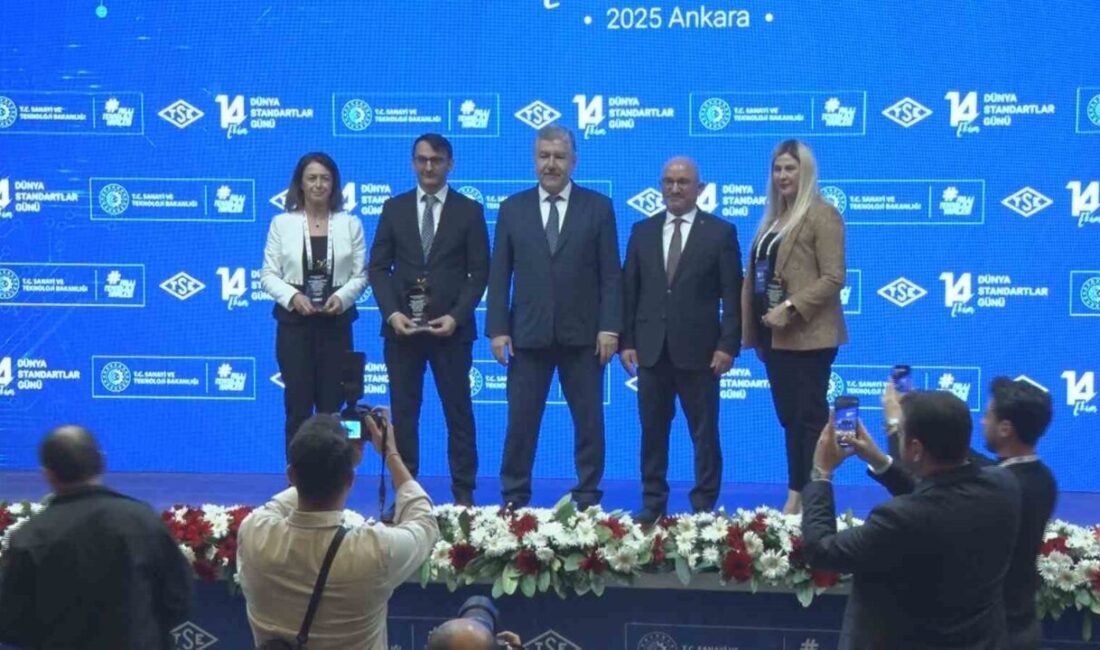 Sanayi ve Teknoloji Bakan Yardımcısı Çetin Ali Dönmez, uluslararası ticaretteki