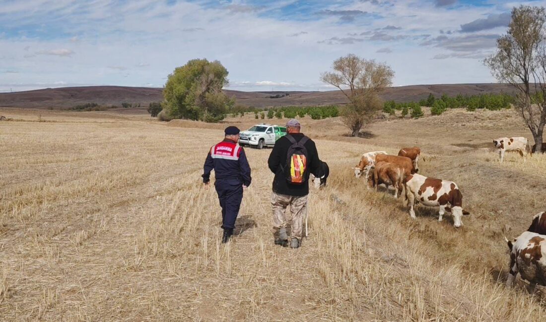 Yozgat İl Jandarma Komutanlığı HAYDİ ekipleri, Sorgun ve Merkez ilçeleri