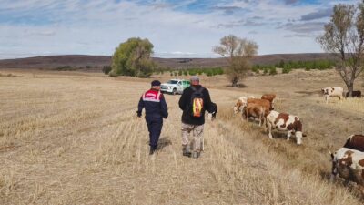 Yozgat İl Jandarma Komutanlığı HAYDİ ekipleri, Sorgun ve Merkez ilçeleri