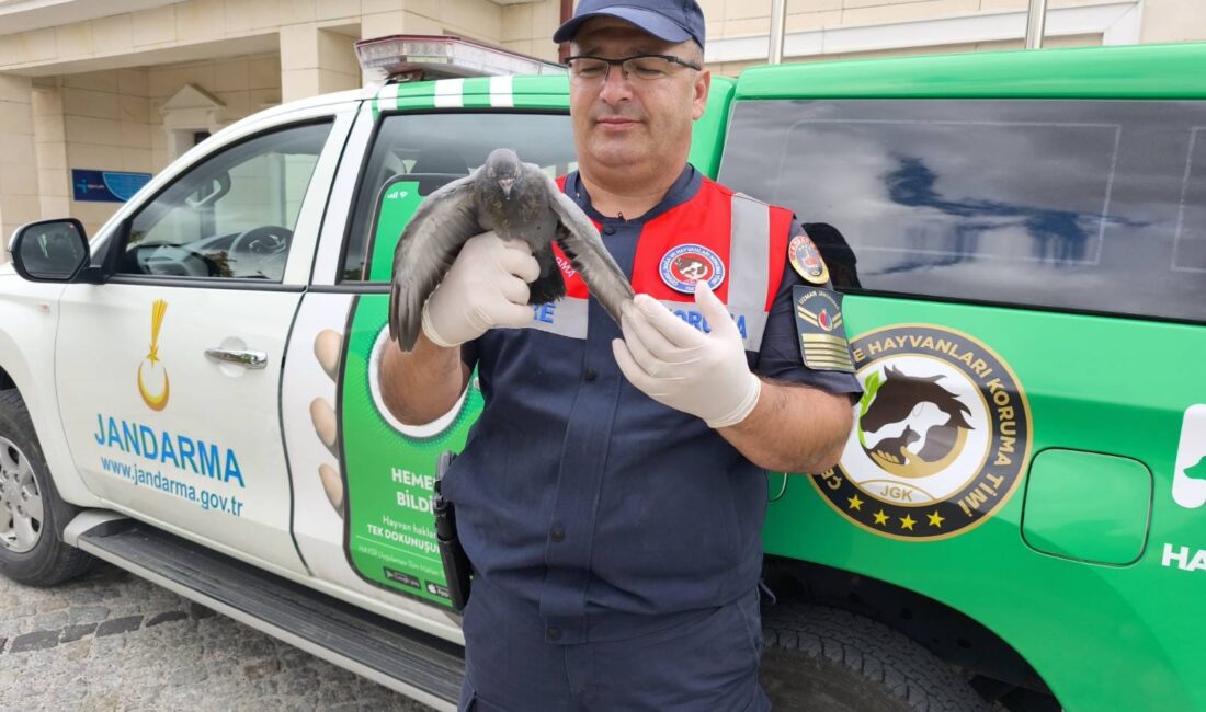 Yozgat İl Jandarma Komutanlığı tarafından Merkez ilçe ile Şefaatli ilçeleri