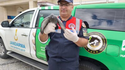 Yozgat İl Jandarma Komutanlığı tarafından Merkez ilçe ile Şefaatli ilçeleri