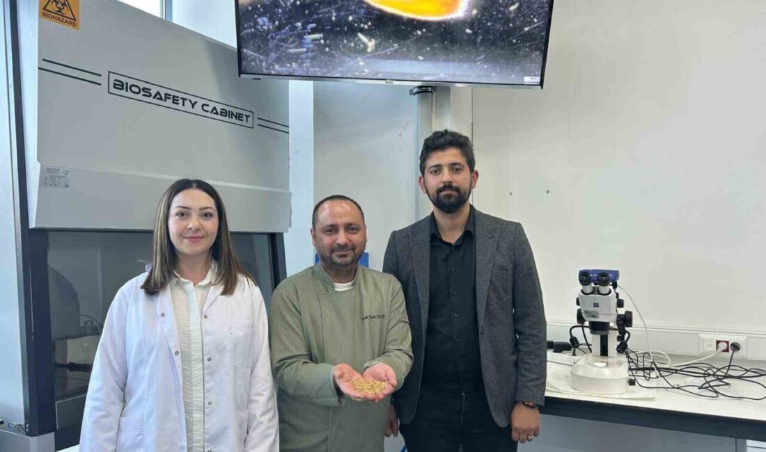 Sivas Bilim ve Teknoloji Üniversitesi tarafından yürütülen Ar-Ge çalışmaları sonucunda