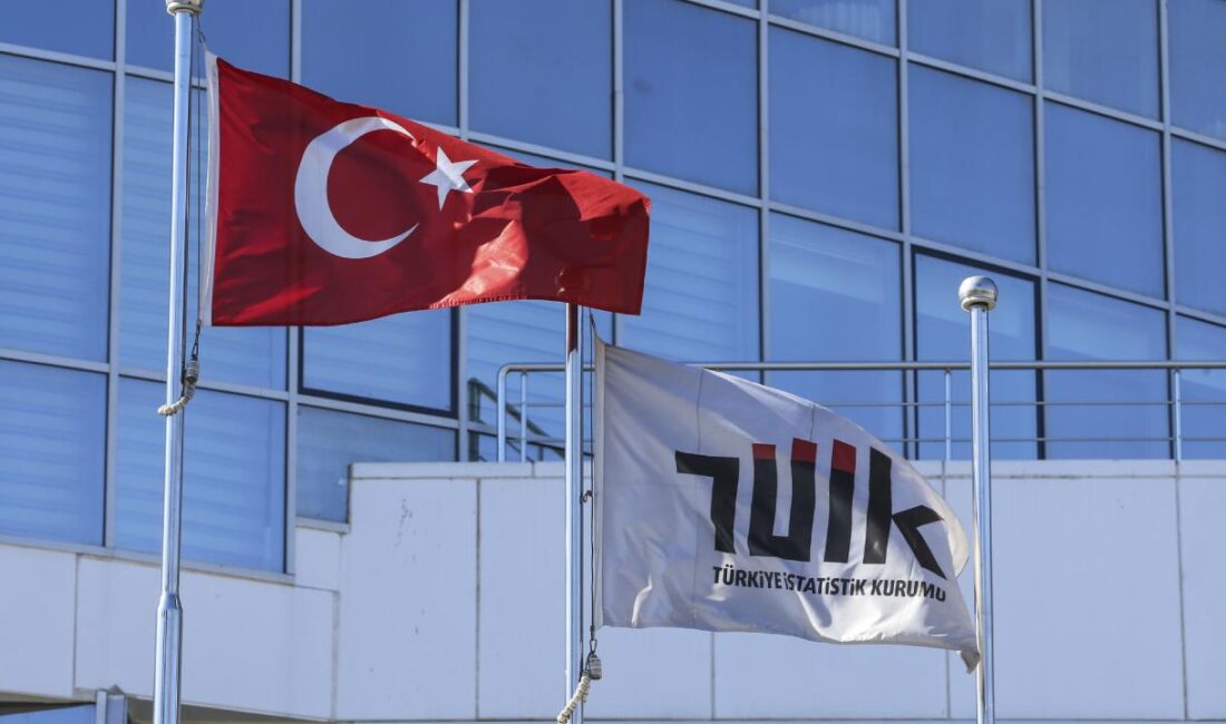 Türkiye İstatistik Kurumu (TÜİK), merkez teşkilatında görev yapmak üzere 5
