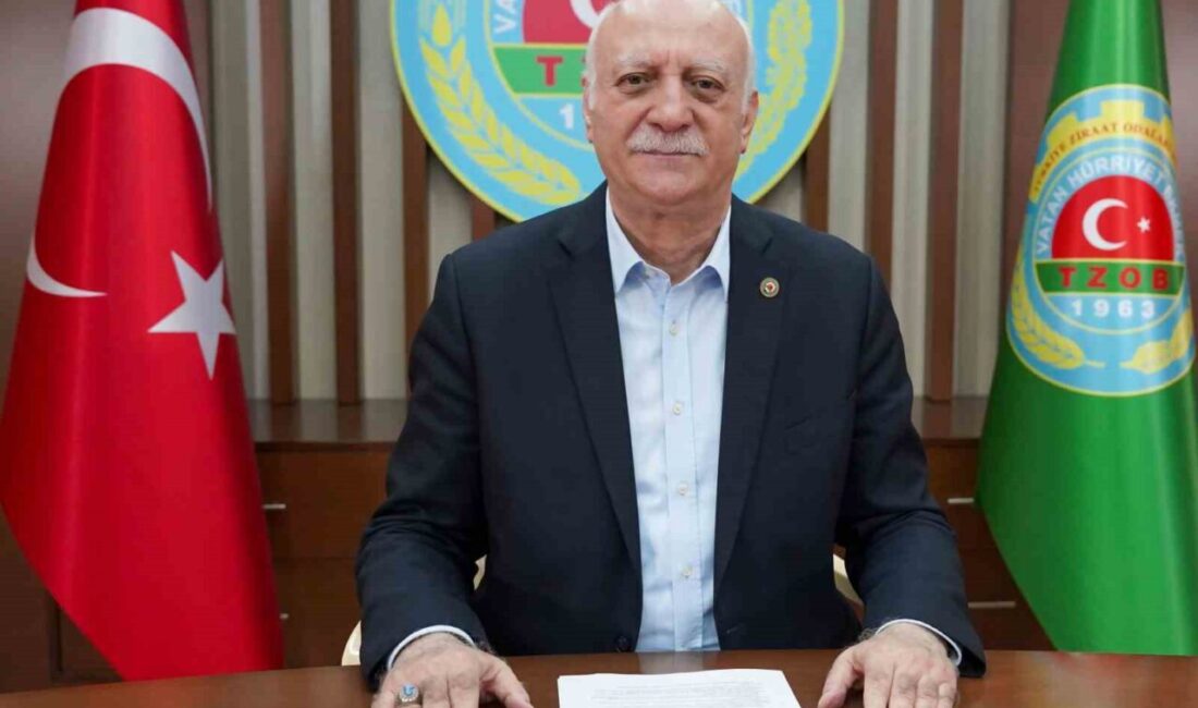 TZOB Genel Başkanı Şemsi Bayraktar, kadın çiftçilerin sosyal güvence sorununa