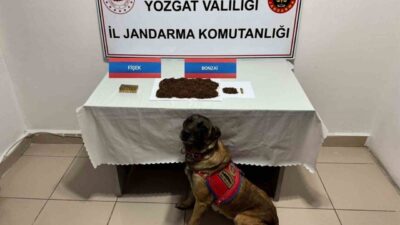 Yozgat'ta Jandarma, Çorum'dan uyuşturucu getireceği bilgisine ulaştığı M.E.Ş.'yi durdurarak 142