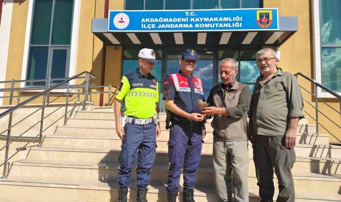 Yozgat'ta jandarma ekipleri devriye sırasında yaralı bir çakır kuşu buldu.