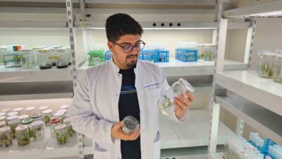 Ondokuz Mayıs Üniversitesi (OMÜ) Ziraat Fakültesi Tarımsal Biyoteknoloji Bölümünden Arş.