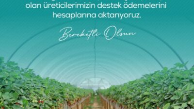 Tarım ve Orman Bakanı İbrahim Yumaklı, zirai dondan etkilenen çiftçilere