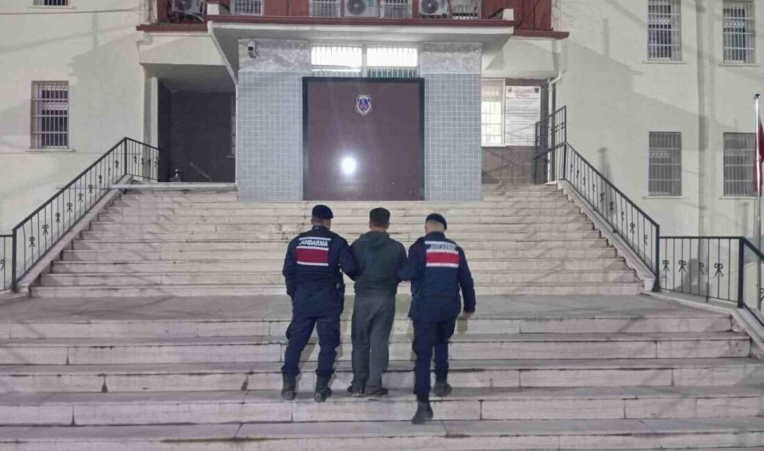 Ciciler Köyü’nde, Bilecik’in Osmaneli ilçesine bağlı bir köyde 23 ayrı