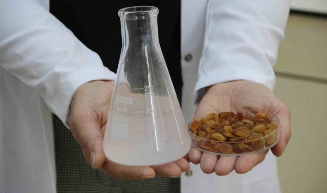 Türkiye, dünya pazarının yüzde 32’sini domine ederek kuru üzüm ticaretinde