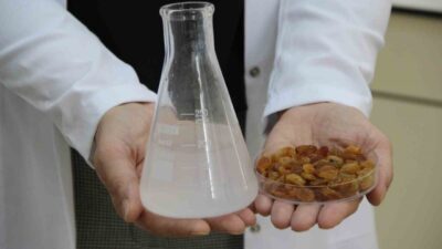 Türkiye, dünya pazarının yüzde 32’sini domine ederek kuru üzüm ticaretinde
