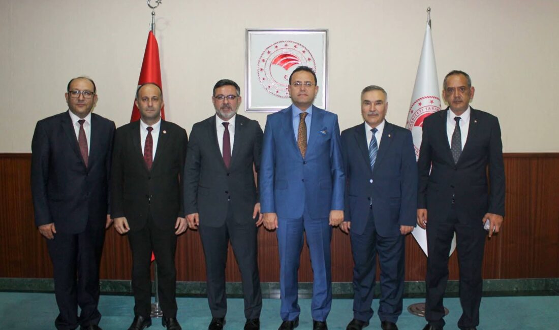 Yerköy Seracılık Tarıma Dayalı İhtisas Organize Sanayi Bölgesi (TDİOSB) projesi