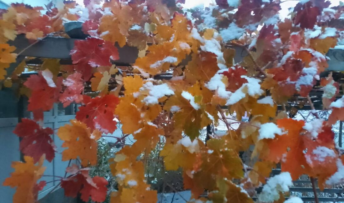 Akçakent ilçesinde yılın ilk karı yağdı. Yüksek rakımları ve ormanlık