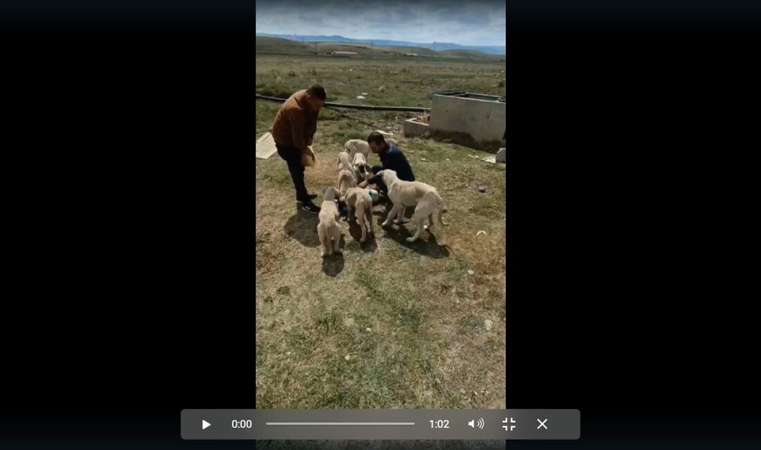 Yerköy’de yaşayan Hüseyin Bulut isimli duyarlı vatandaş, yaklaşık 3 yıldır