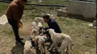 Yerköy’de yaşayan Hüseyin Bulut isimli duyarlı vatandaş, yaklaşık 3 yıldır