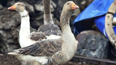 Yozgat Bozok Üniversitesi, bölgesel kalkınmaya katkı sağlamak amacıyla yeni bir