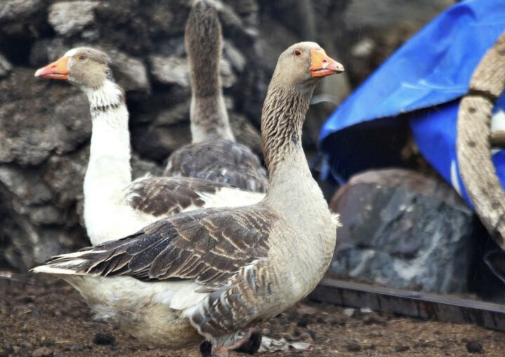 Yozgat Bozok Üniversitesi, bölgesel kalkınmaya katkı sağlamak amacıyla yeni bir