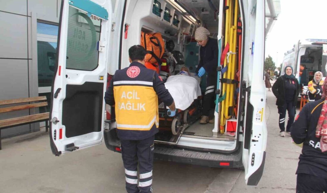 Konya’nın Beyşehir ilçesinde bir besici, dananın saldırısına uğrayarak yaralandı. Olay,