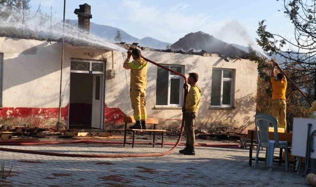 Antalya’nın Gazipaşa ilçesine bağlı Yeni Güney Mahallesi’ndeki ormanlık alanda çıkan