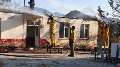 Antalya’nın Gazipaşa ilçesine bağlı Yeni Güney Mahallesi’ndeki ormanlık alanda çıkan